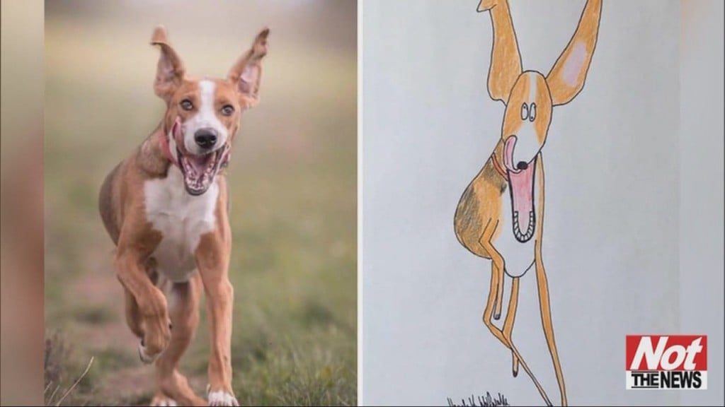Bad Portraits