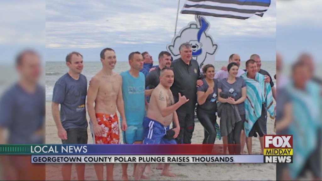 Polar Plunge