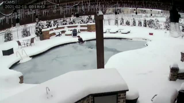 Tn: Owner Rescues Dog From Frozen Swimming Pool