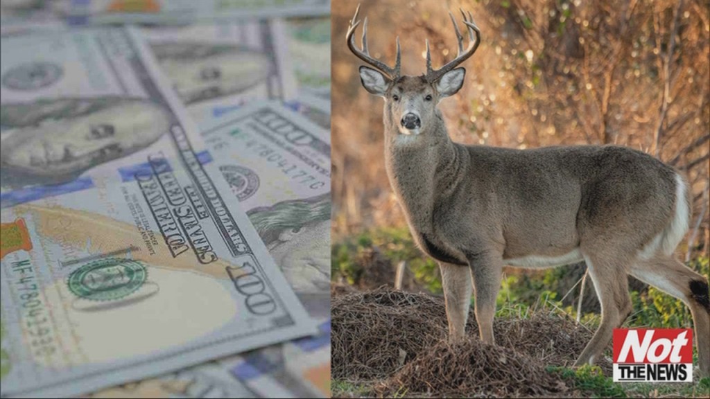 From Bucks To Bucks