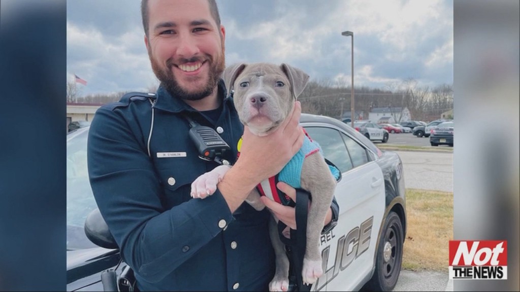 Officer Adopts Puppy
