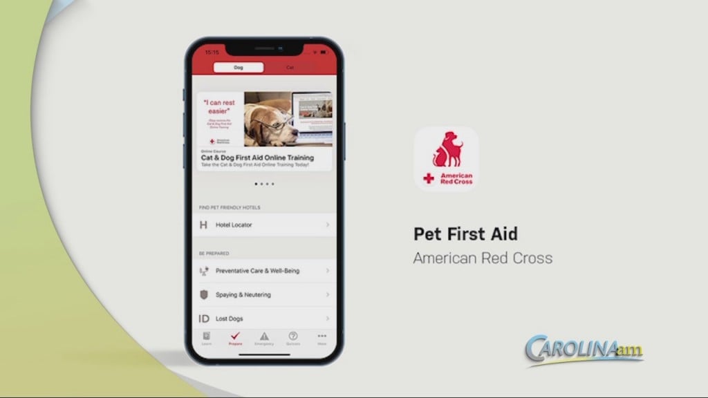 Best Dog Apps