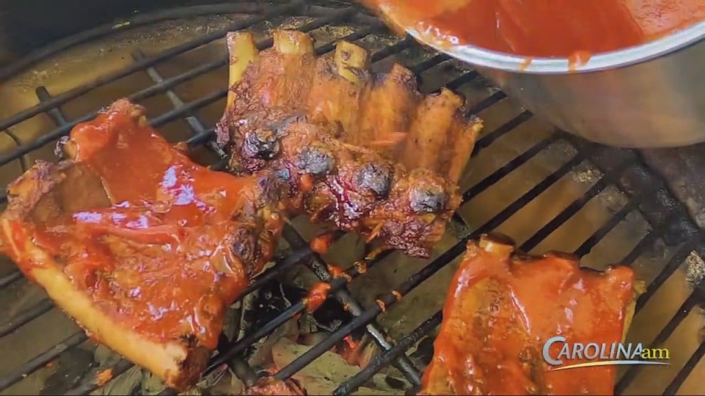 Cam 021 Drbbq