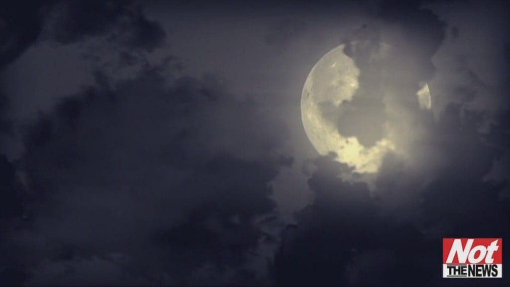 Howling At The Moon