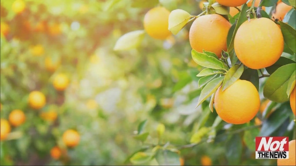 Vitamin C