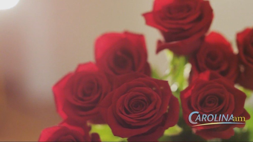 Valentine's Day Spending