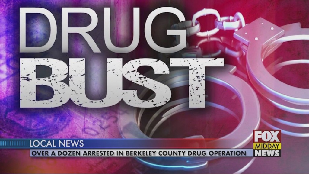 Drug Bust