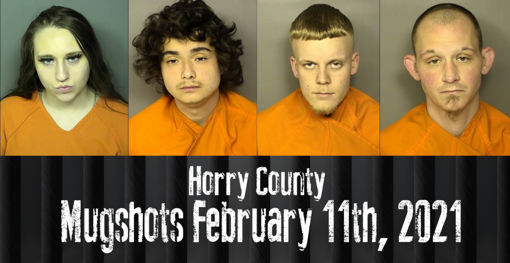 Mugshot 2 11
