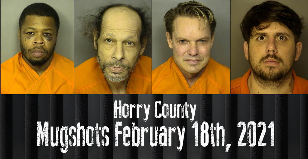 Mugshot 2 18 21