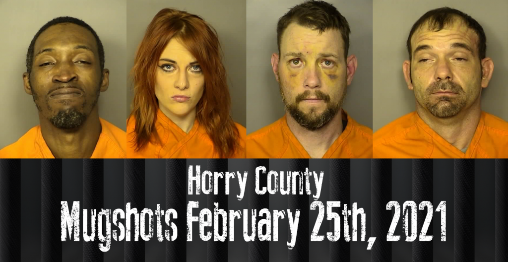 Mugshot 2 25