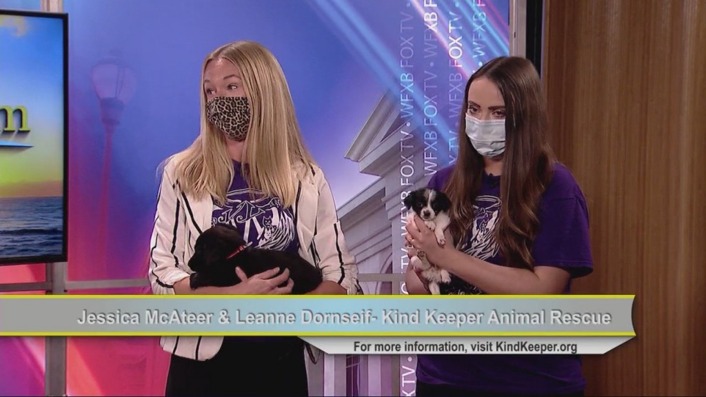 Kind Keeper Animal Rescue 031021