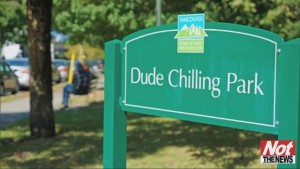 Dude Chilling Park