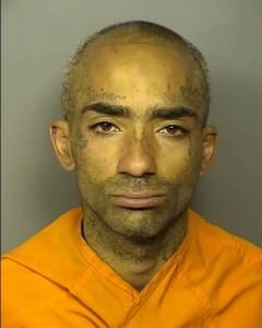 Hannah Antonio Laselle Loitering