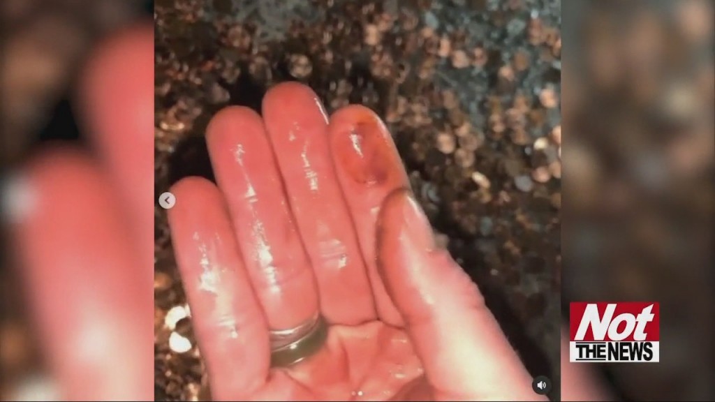 Oil Pennies