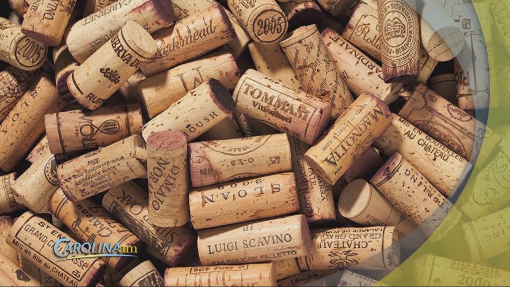 Wine Corks
