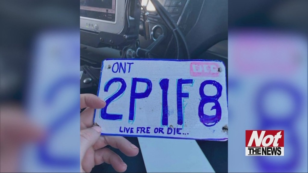 License Plate