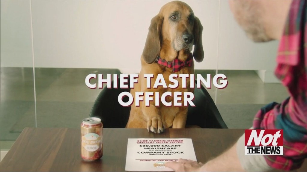 Dog Beer