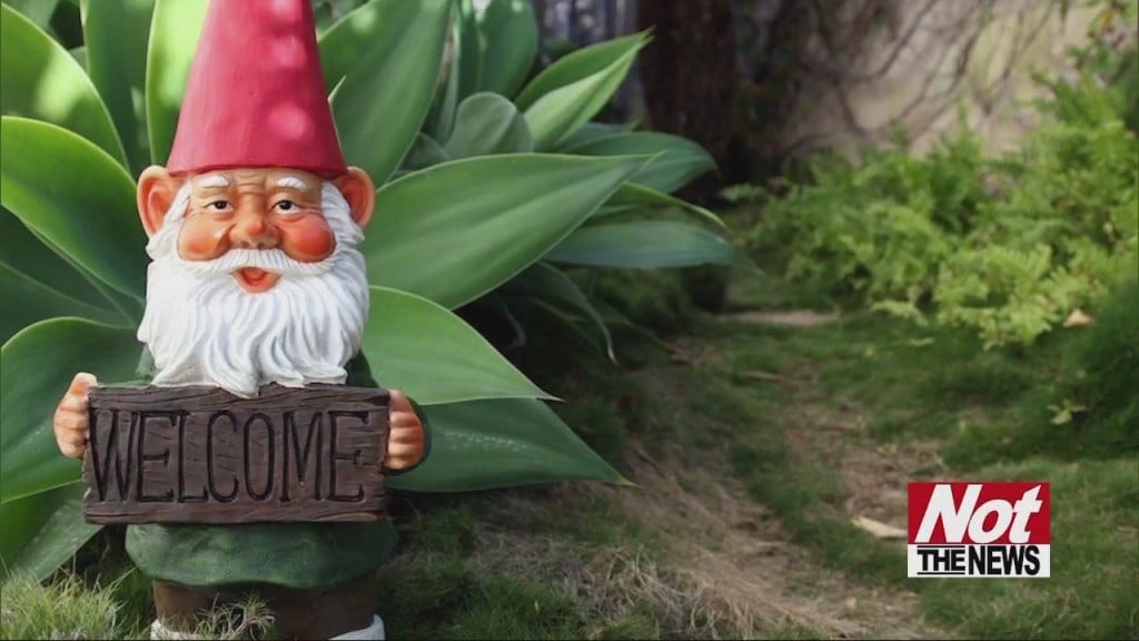 Garden Gnomes