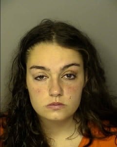 Krokos Sarah Anna Disorderly Conduct Disobeying A Po Unlawful Use Of Fake Id