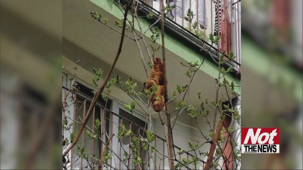 Croissant