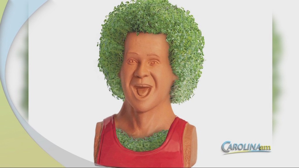 Chia Pets