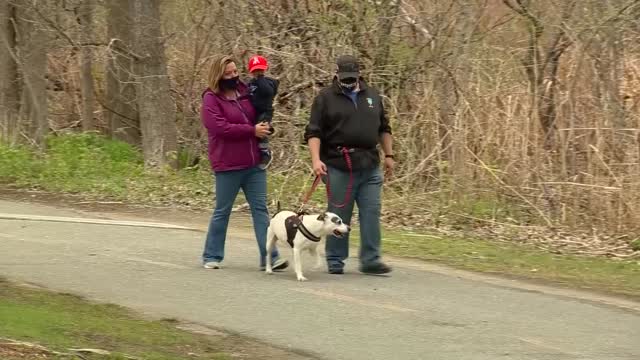 Ma: Woman And Dog Have Close Call W/ Coyote