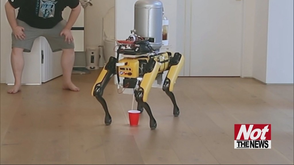 Peeing Robo Dog