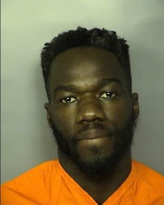 Thiam Dame Domestic Violence 2nd Degree