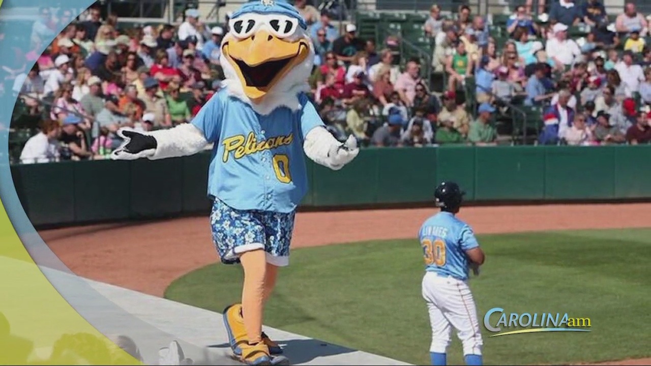 Tickets on Sale Today for Myrtle Beach Pelicans WFXB