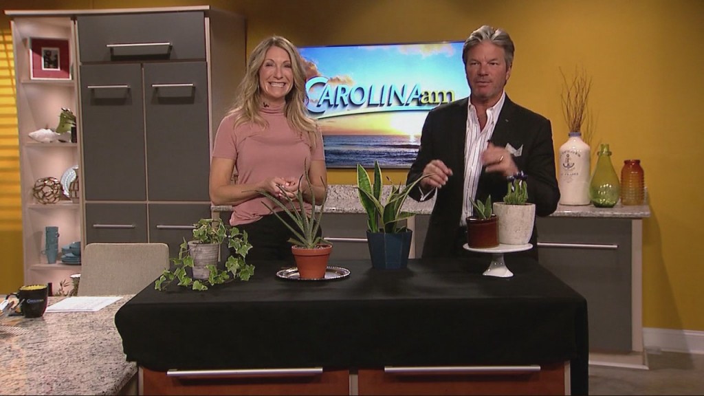 Cam 0414 Indoorplants