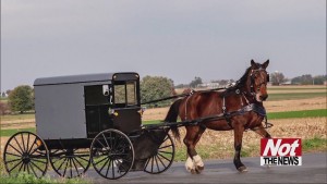 Amish Dui