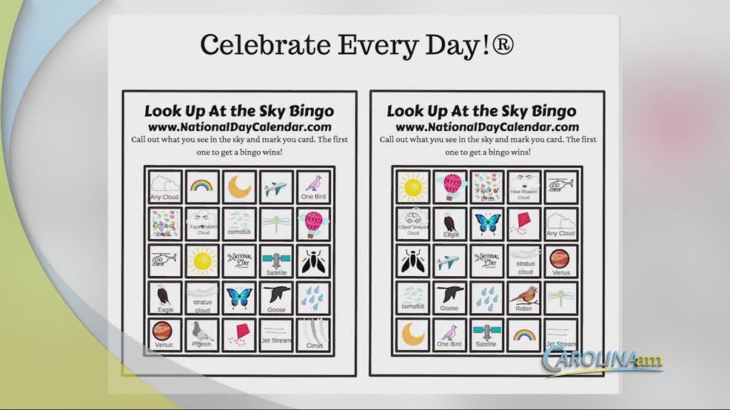 Cam 0414 Lookupday