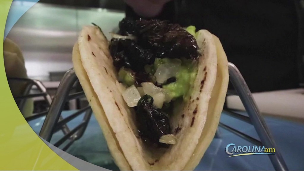 Cam 0524 Cicadatacos
