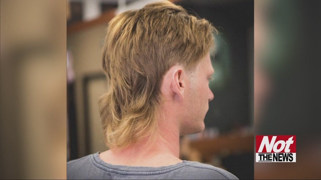 Mullet2