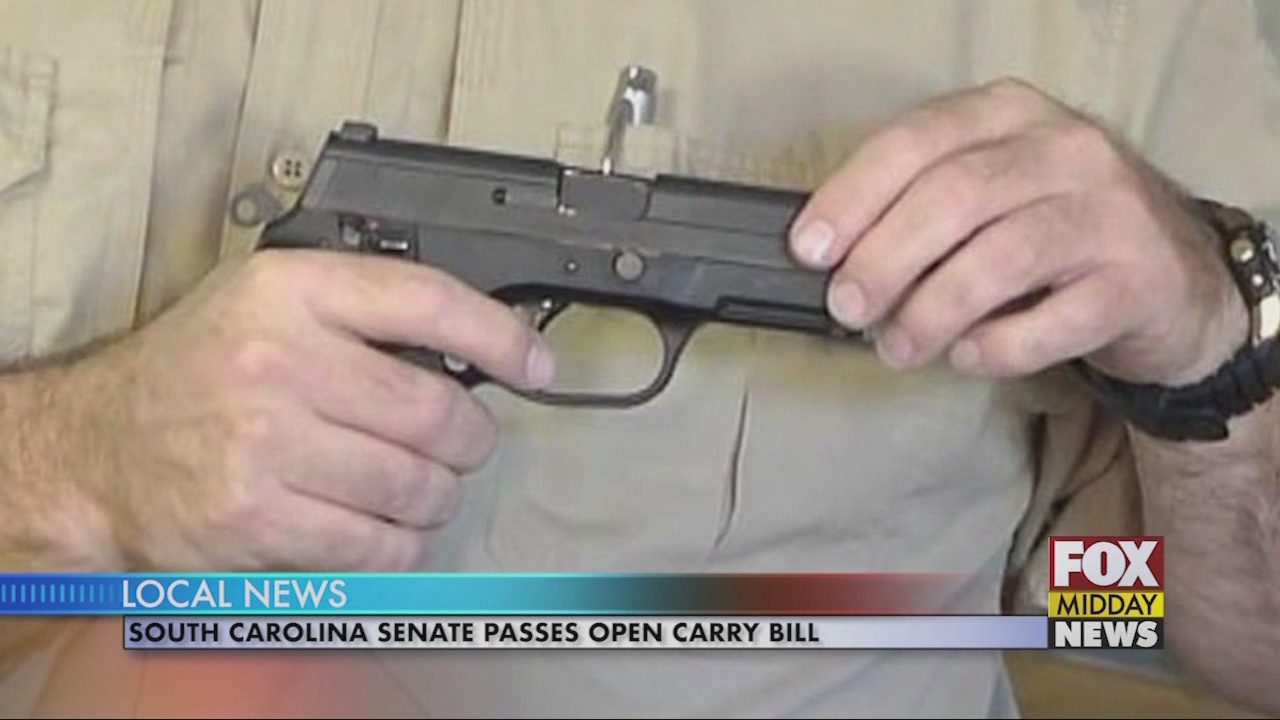 Revised Open Carry Bill Passes In Senate Wfxb