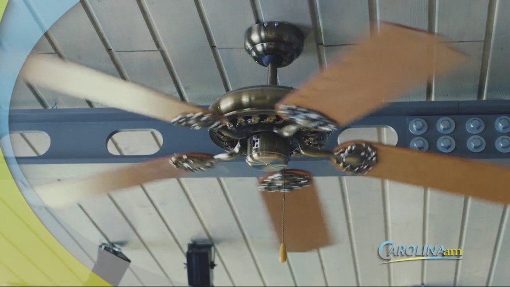 Ceiling Fans