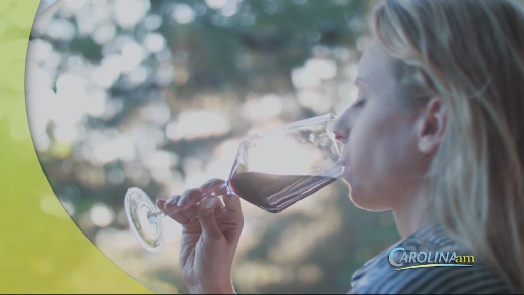 Wine Day
