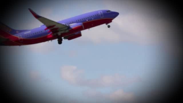 Summer Travel: What To Know Before You Go