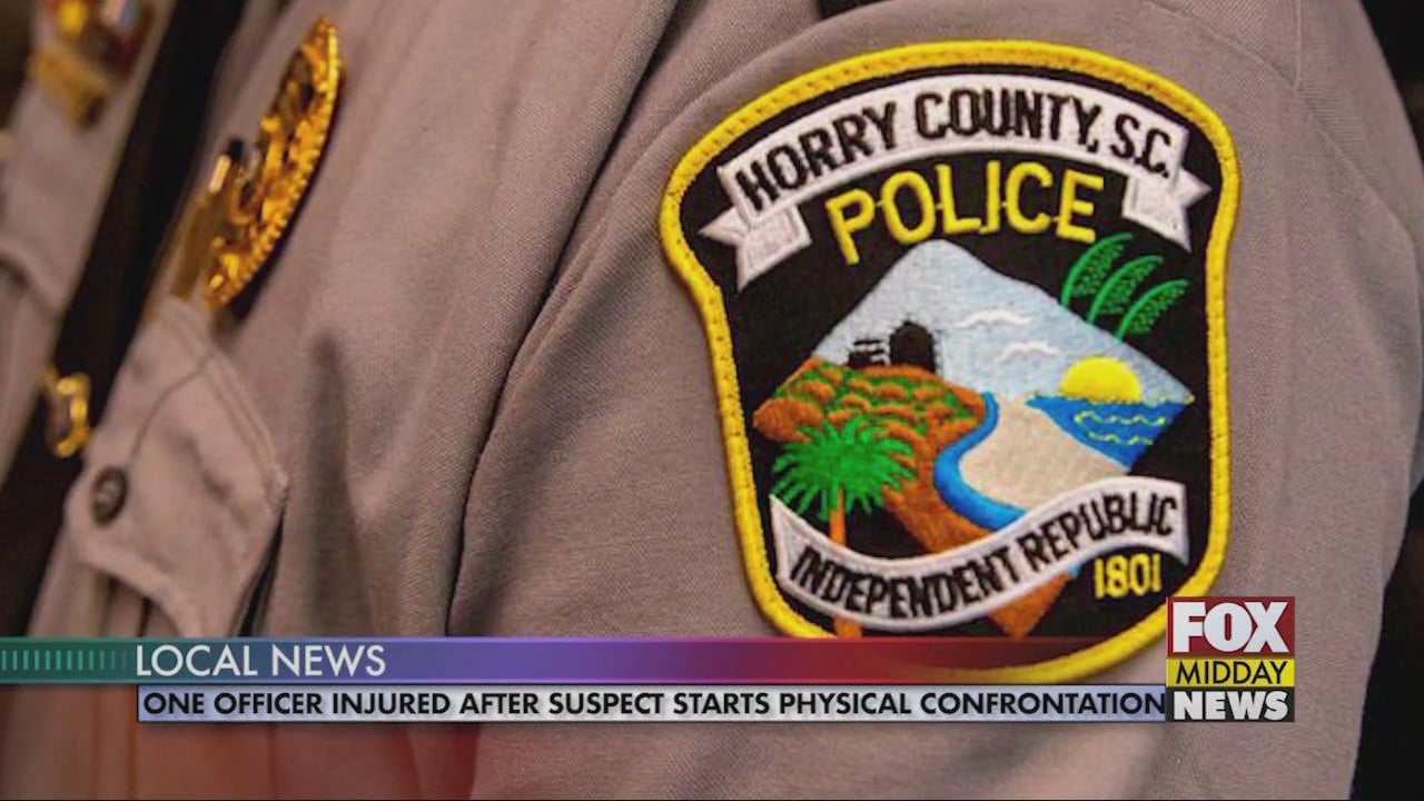 Horry County Police Officer Injured After Suspect Starts Physical ...