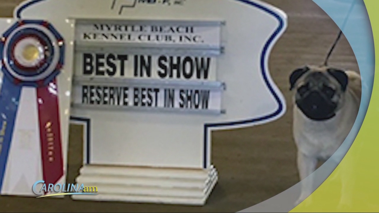 Myrtle Beach Kennel Club Returns with First Show WFXB