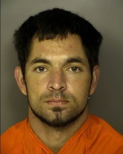 Merritts Michael Desmond Public Disorderlypublic Intoxication