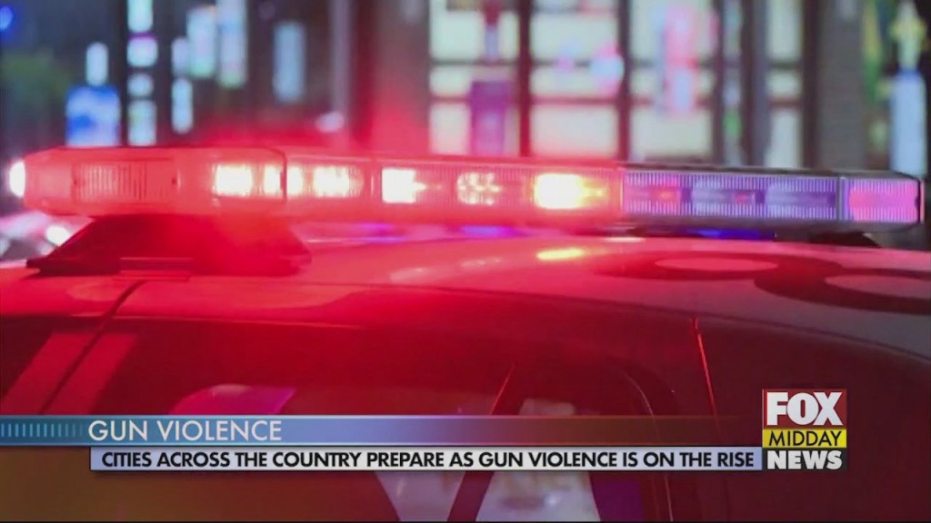 Gun Violence