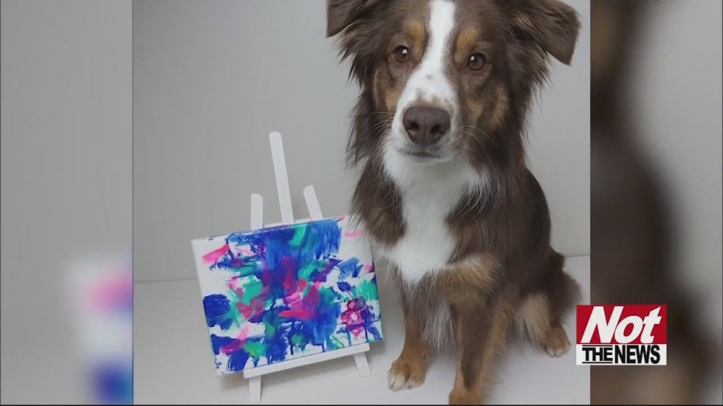 Dog Painter