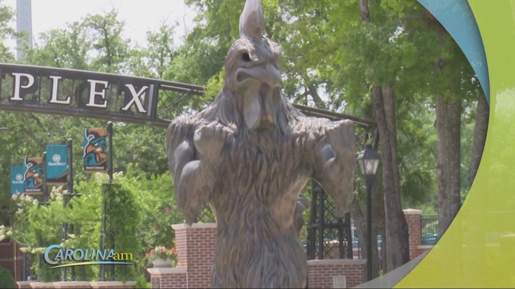 Ccu