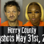 Mugshot 5 31