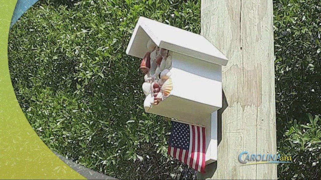 Cam 0609 Payforward Birdhouse