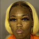 Williams Jaszbrianna Vanleesa Driving Under Suspension Disregarding Stop Sign Operating Or Permitting Operation Of Unlawfully Registered Vehicle Failure To Appear