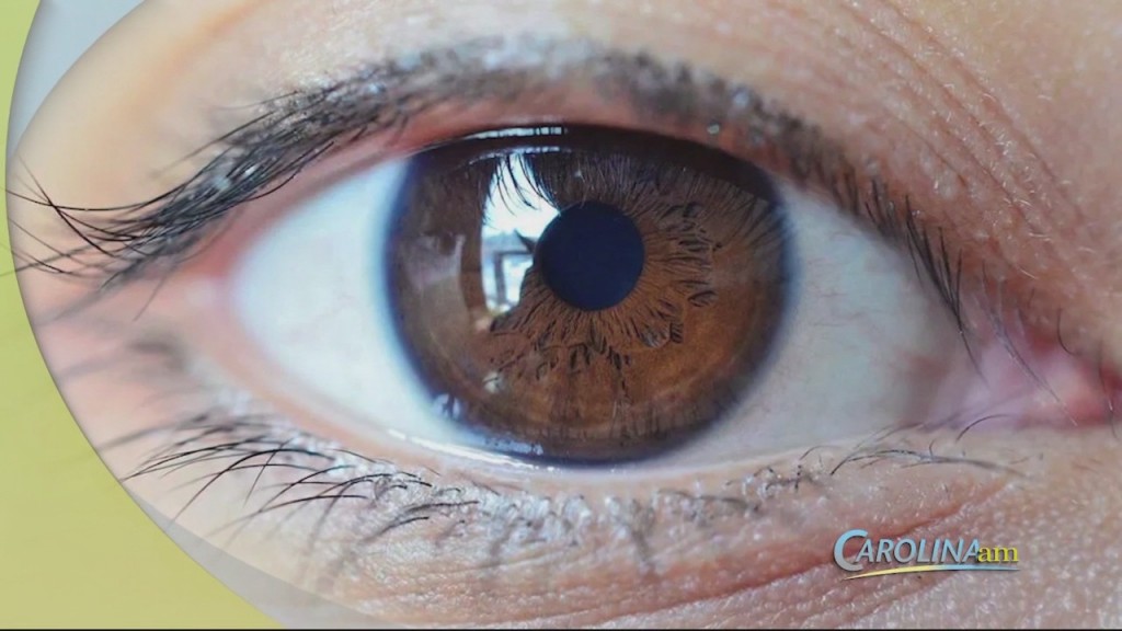Pupils