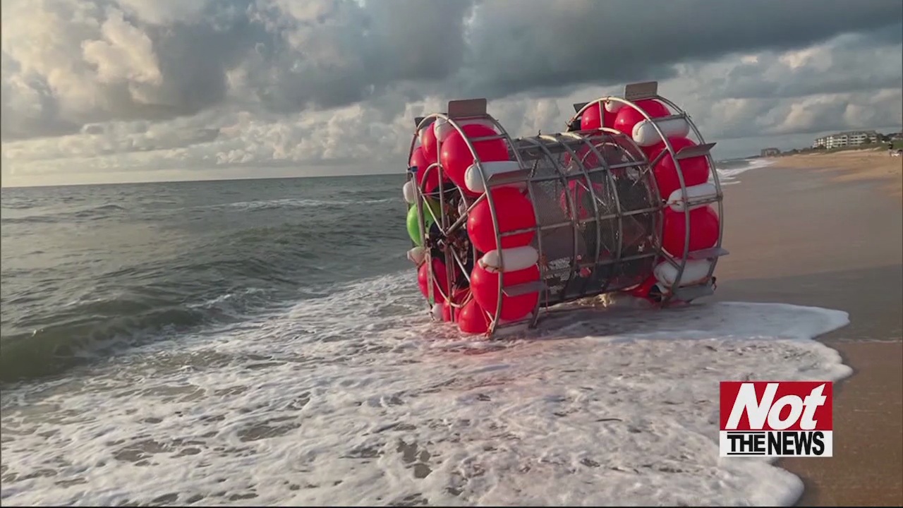 Florida Man in Giant Bubble Washes Up on Beach WFXB(00)