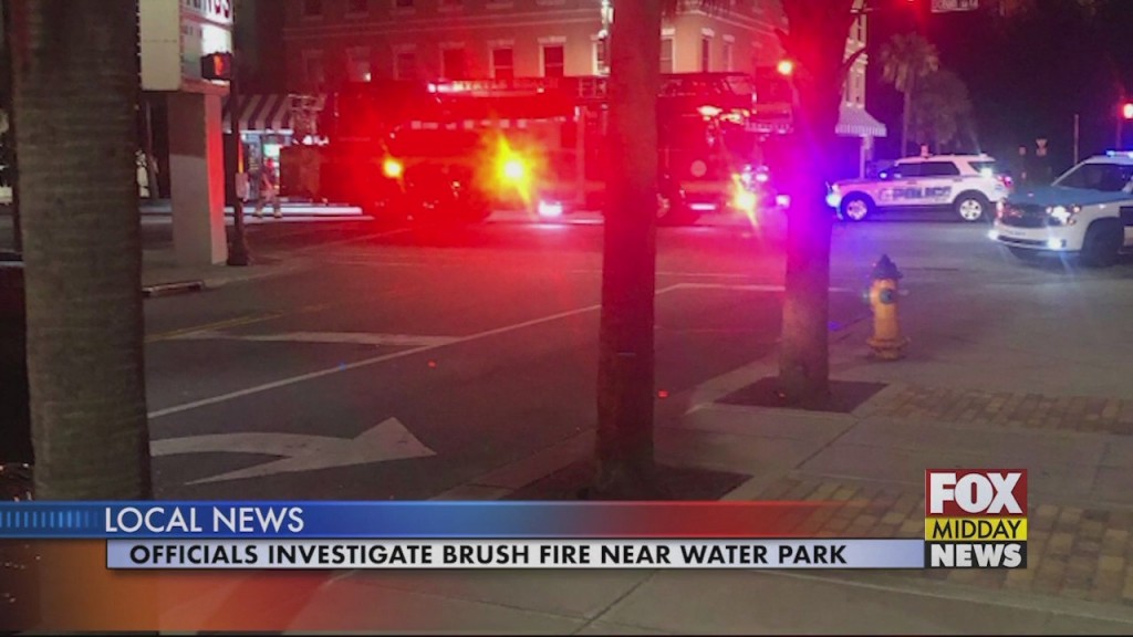 Brush Fire